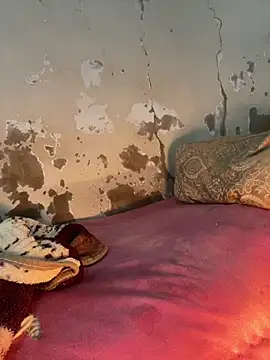 Snapshot of ParousFlow chatting on February 2026 02:16:02 PM ParousFlow online show from February 2026 02:16:02 PM