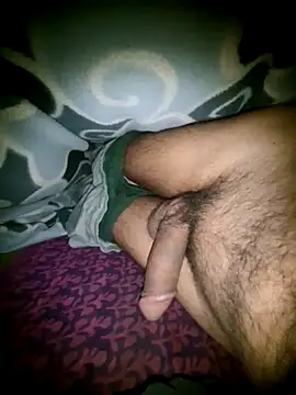 Desi Horny Boys online show from November 2025 04:12:02 PM