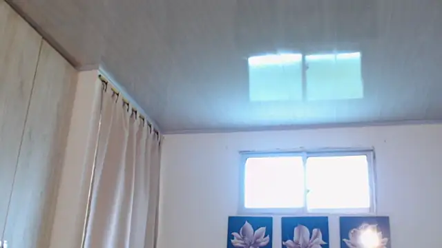 pinky f00x online show from December 2025 07:31:01 PM