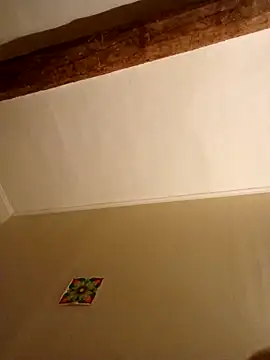 Snapshot of Titiboboo3488 chatting on November 2025 05:24:01 PM Titiboboo3488 online show from November 2025 05:24:01 PM