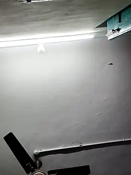 papukurty online show from November 2025 02:21:01 AM