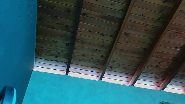 Taurito    online show from November 2025 04:38:02 PM