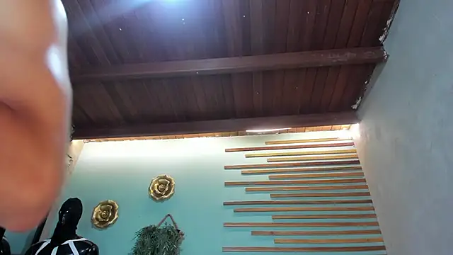 jharol cardonaa online show from November 2025 01:28:02 AM