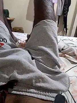 Telugu person12 online show from January 2026 05:33:01 AM