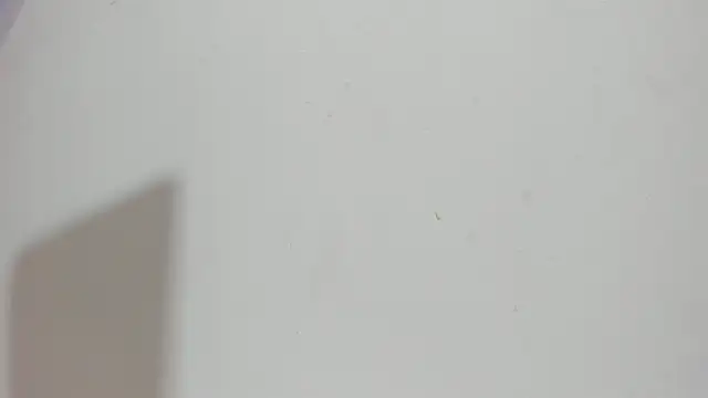 Snapshot of Sophia_Ebony chatting on May 2026 12:12:02 PM Sophia Ebony online show from May 2026 12:12:02 PM