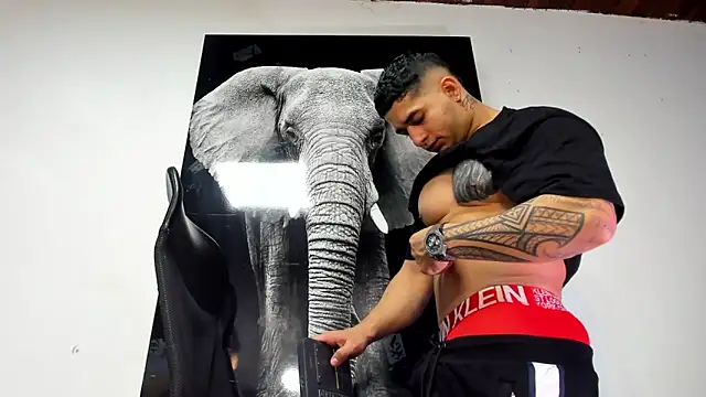 king falconer online show from October 2025 02:12:01 AM