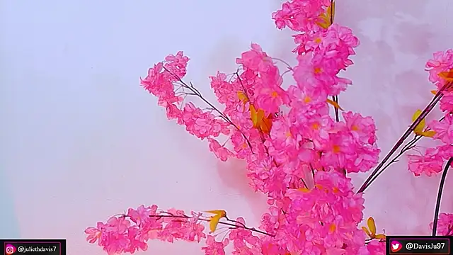 Snapshot of JulietaDavis chatting on May 2026 09:39:02 AM JulietaDavis online show from May 2026 09:39:02 AM