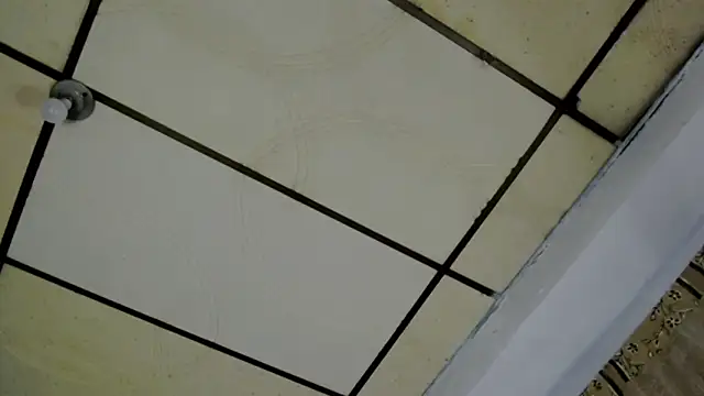 AlaskaFlowers  online show from September 2025 05:51:02 AM