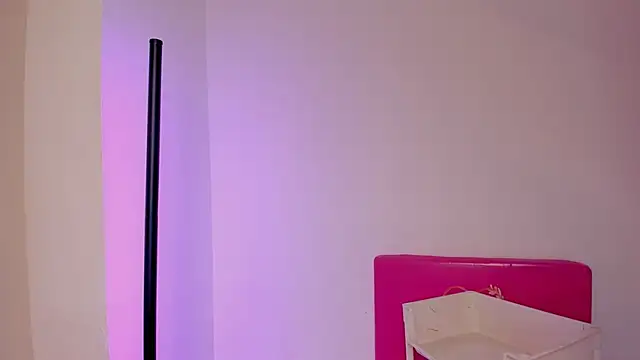 TokyoHaskel online show from November 2025 04:11:02 AM