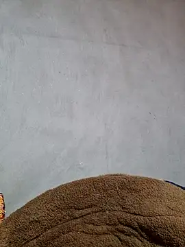 yoowwmr online show from November 2025 05:40:01 AM