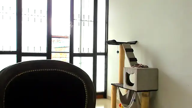 Snapshot of ADHARAMILLER__1111 chatting on November 2025 02:28:01 PM ADHARAMILLER 1111 online show from November 2025 02:28:01 PM