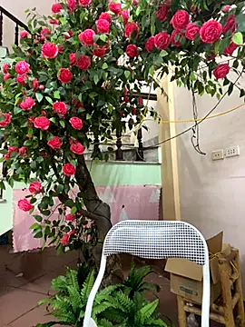 Snapshot of Bollozzy_89 chatting on September 2025 04:23:01 PM Bollozzy 89 online show from September 2025 04:23:01 PM