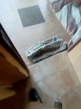 Snapshot of Fullfigurepotential chatting on December 2025 04:09:01 AM Fullfigurepotential online show from December 2025 04:09:01 AM