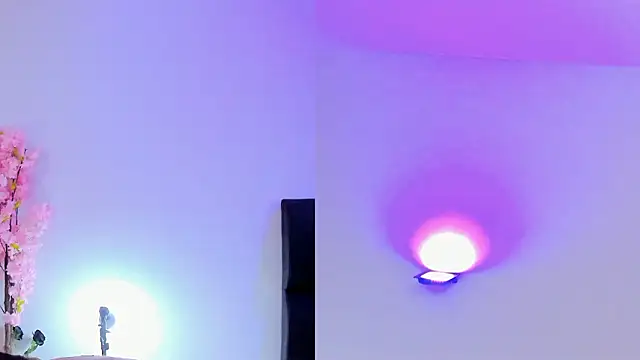 maily zanss online show from February 2026 07:56:02 PM