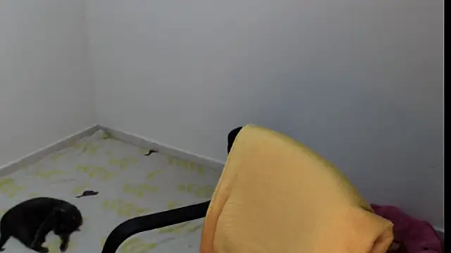 meganmiauu online show from May 2026 04:04:02 PM