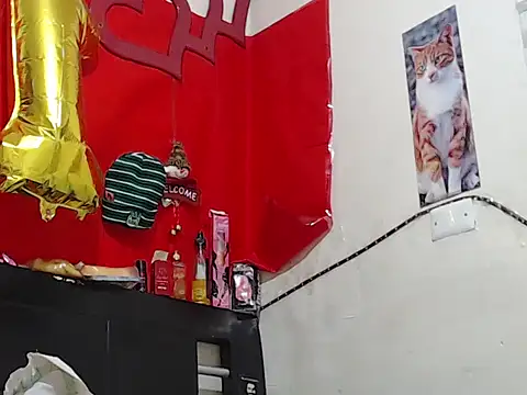 Npga96 online show from February 2026 06:59:02 AM