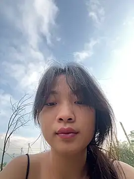 Phayphay77 online show from November 2025 12:00:01 AM