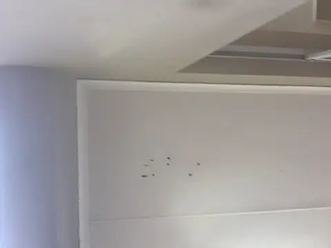 Snapshot of sex-machanic chatting on November 2025 03:31:01 AM sex-machanic online show from November 2025 03:31:01 AM