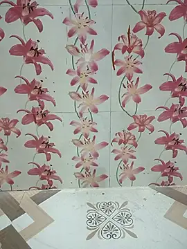 Snapshot of Meenaksi-singh chatting on October 2025 03:00:02 PM Meenaksi-singh online show from October 2025 03:00:02 PM