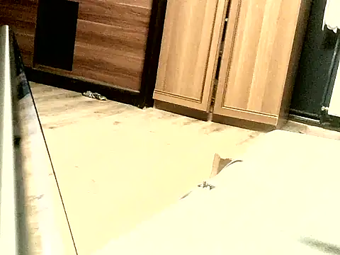 KissMeAss9387 online show from September 2025 07:08:01 PM