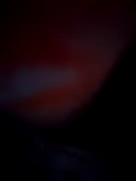 Exotic-bhabhi online show from October 2025 08:52:01 PM