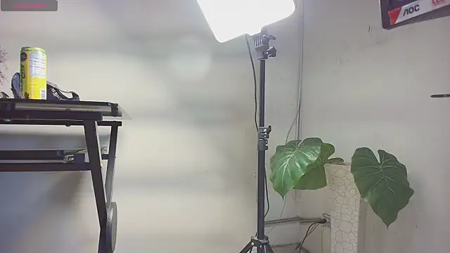 Snapshot of sakuramoss chatting on October 2025 06:43:01 AM sakuramoss online show from October 2025 06:43:01 AM