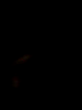 SofieLove 01 online show from December 2025 07:35:01 AM