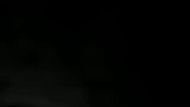 WILD FIREE  online show from December 2025 08:15:01 PM