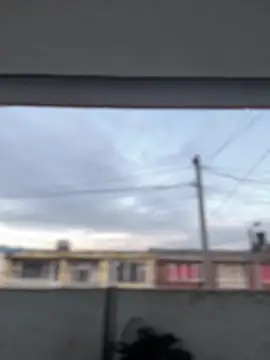 Sallem Pink online show from March 2026 11:17:01 AM