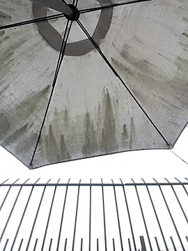 Sallem Pink online show from April 2026 11:12:01 AM