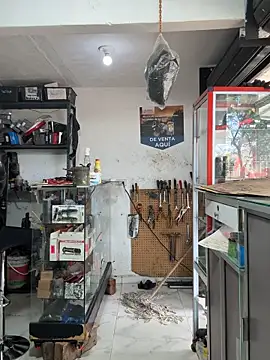 Terra-22cm online show from October 2025 03:07:01 PM