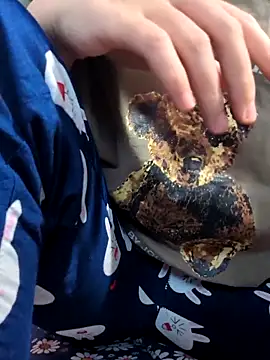 sasud2 online show from November 2025 02:02:02 AM