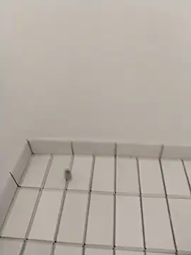 Ajayy01 online show from October 2025 07:42:01 AM