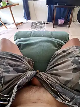 Snapshot of pullitoff chatting on September 2025 01:54:02 PM pullitoff online show from September 2025 01:54:02 PM