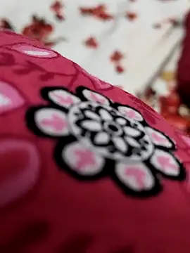 Snapshot of sana-5 chatting on April 2026 02:11:01 PM sana-5 online show from April 2026 02:11:01 PM