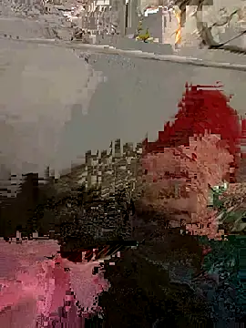 Snapshot of djcarey369159 chatting on October 2025 11:41:02 PM djcarey369159 online show from October 2025 11:41:02 PM