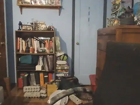 PDrents online show from November 2025 10:30:01 PM