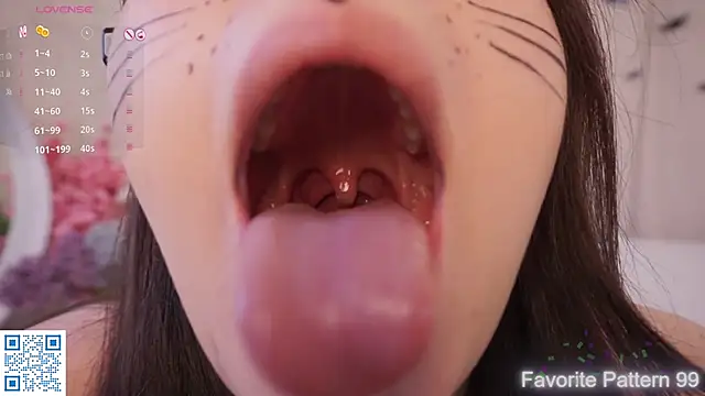 Snapshot of BlissHey chatting on November 2025 05:13:02 PM BlissHey online show from November 2025 05:13:02 PM