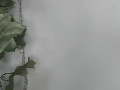 angelainparis28 online show from November 2025 07:41:02 AM