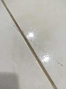 Snapshot of daring_lily chatting on December 2025 01:58:01 AM daring lily online show from December 2025 01:58:01 AM