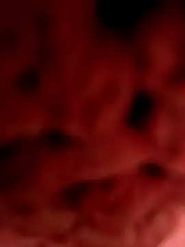 Gusttavotesudoxxvvc online show from September 2025 07:16:01 PM