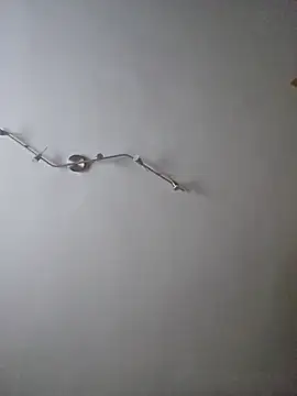 Snapshot of Hamutip chatting on October 2025 12:50:01 PM Hamutip online show from October 2025 12:50:01 PM