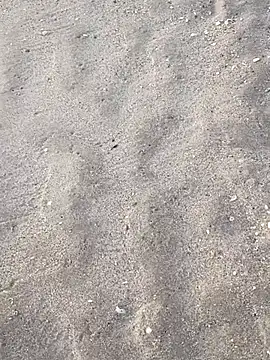 sarahkat86 online show from November 2025 12:16:01 PM