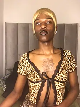 Trans fairy online show from October 2025 07:30:02 PM