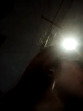 Snapshot of _Alaskamisa chatting on November 2025 01:15:02 AM Alaskamisa online show from November 2025 01:15:02 AM