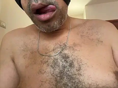 Snapshot of CaiBull chatting on September 2025 08:17:01 AM CaiBull online show from September 2025 08:17:01 AM