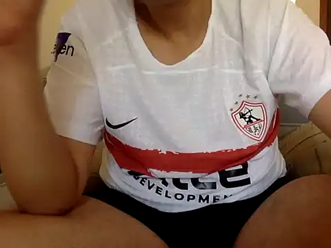 Snapshot of CaiBull chatting on September 2025 08:08:01 AM CaiBull online show from September 2025 08:08:01 AM