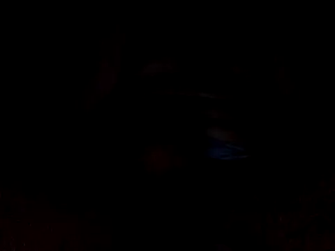 Snapshot of CaiBull chatting on October 2025 08:48:02 PM CaiBull online show from October 2025 08:48:02 PM