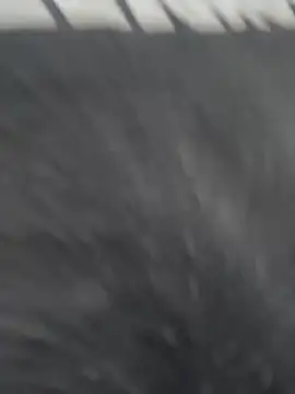 JuanitaMore01 online show from February 2026 10:22:01 PM