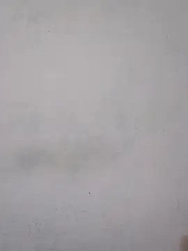 Alexsexygamer online show from September 2025 01:02:02 PM